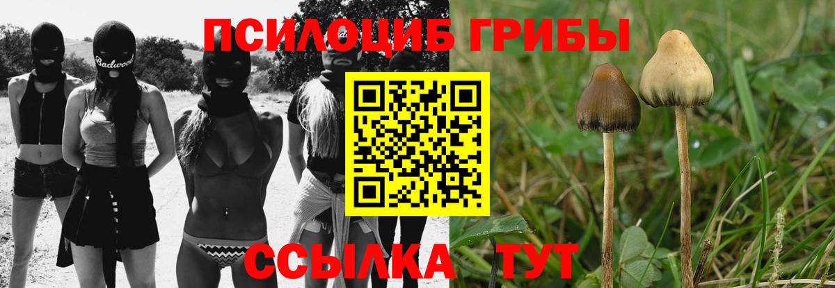 Псилоцибиновые грибы мухоморы  хочу   Туймазы  Вход с VPN 